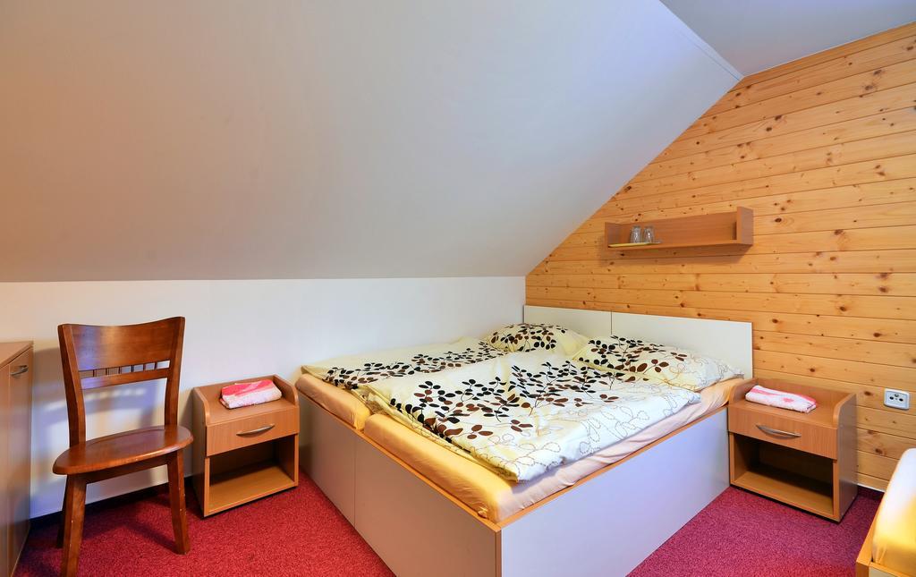 Penzion A Apartmany Skipark Hrabesice Krasne Ngoại thất bức ảnh